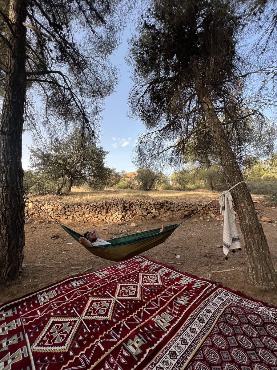 Assif n Ahad cave and Tiqqi forest — 8
