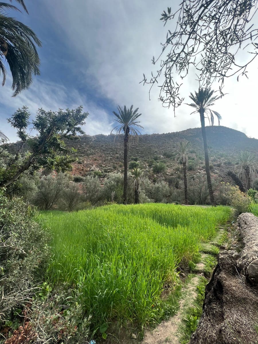 Paradise Valley to Ait Chleuh hike — 4